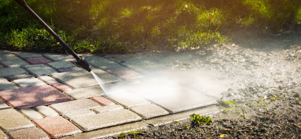 Best Roof Washing  in Nacogdoches, TX